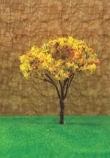 کومه نارون پاییزی کد tr092